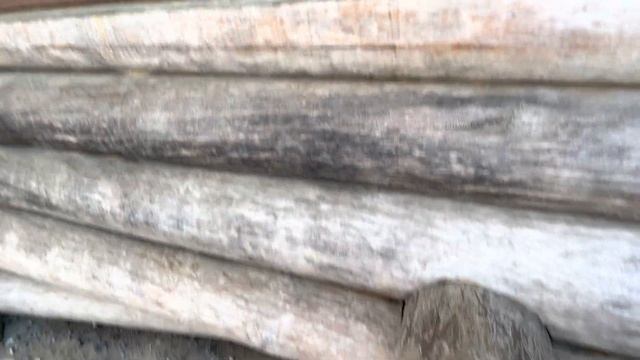 Куда съездить в Ленинградской области? Ресторан «Вереск» , каток на крыше смотреть онлайн