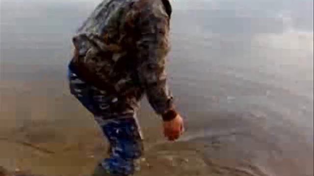 Жерех с берега смотреть онлайн