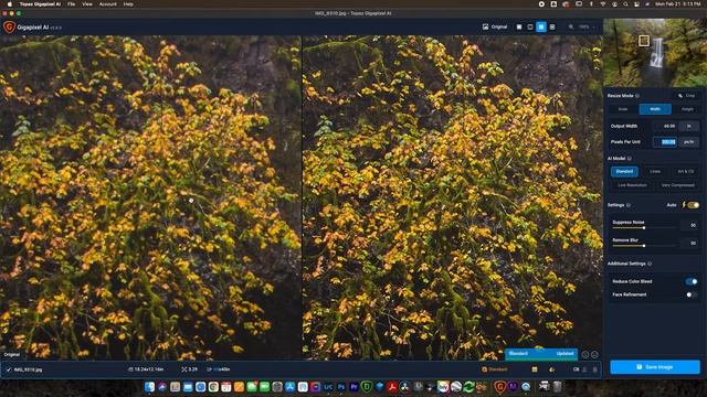How to Upsize ANY Photo Using Topaz Gigapixel AI смотреть онлайн