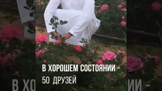 Лучший совет МашАллах срочно смотрите это очень важно!!! смотреть онлайн