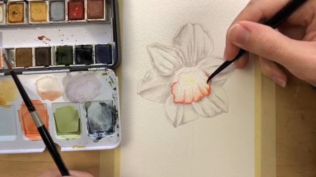 How To Paint A White Daffodil In Watercolor | Narcissus Painting Tutorial