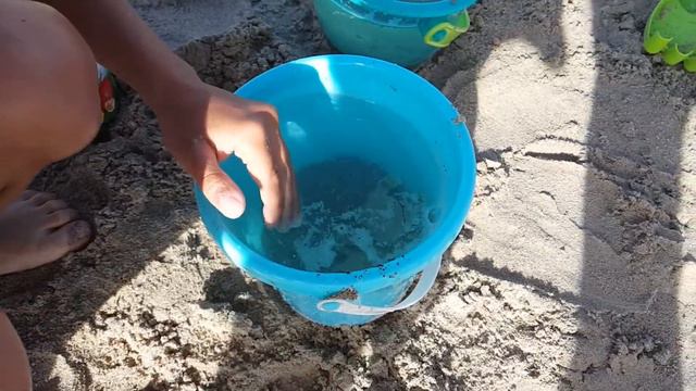 Children catch crabs in the Mediterranean Sea смотреть онлайн