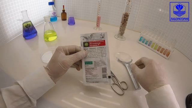 Капуста белокочанная Московская Поздняя 9. (Семетра)Поиск смотреть онлайн