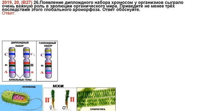 РАЗБОР АКТУАЛЬНОГО ВОПРОСА ПРО ПОЯВЛЕНИЕ ДИПЛОИДНОСТИ И ЕЕ ЗНАЧЕНИЕ смотреть онлайн