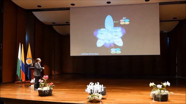 'Functional analysis of genes in regulating perianth identity and development in orchids' смотреть онлайн