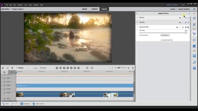 How to use Adjustment Layers in Adobe Premiere Elements смотреть онлайн