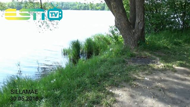 ESN TV 30.05.2016 БЕРЕЗОВАЯ РОЩА В Г.СИЛЛАМЯЭ смотреть онлайн