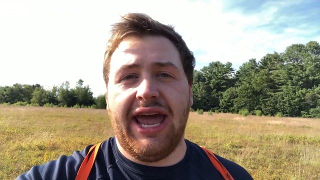 How To Identify Wild Maine Blueberries смотреть онлайн