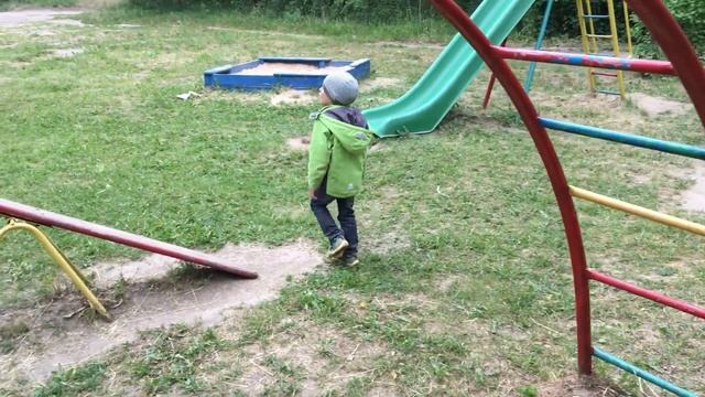 2016 06 12 Сосны. Обнимать деревья - это полезно! смотреть онлайн