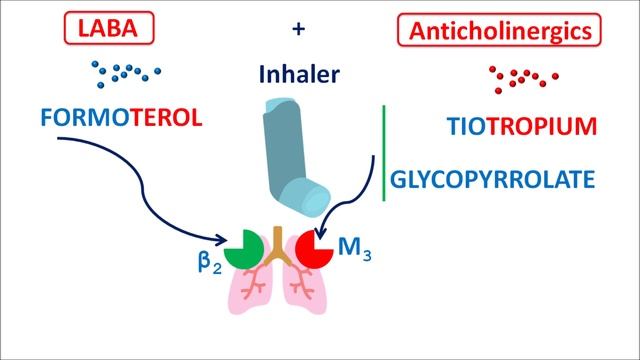 Formoterol For Asthma & COPD | Combinations & Side Effects In Easy Way