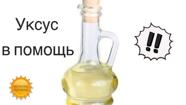 Как избавиться от плесени в доме (15.01.16) смотреть онлайн