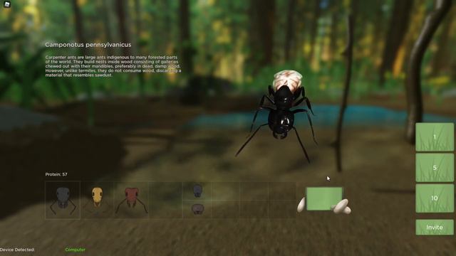 how to get protein quickly (ant life) смотреть онлайн