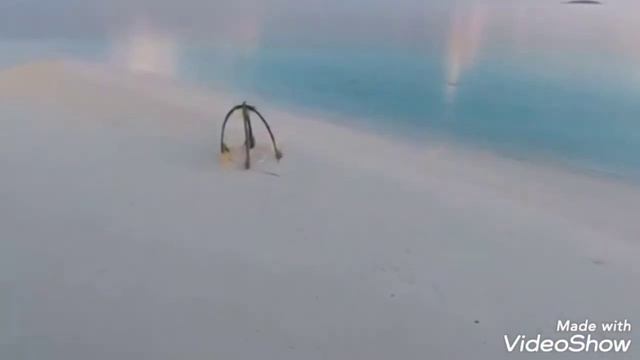 Maldives Island смотреть онлайн