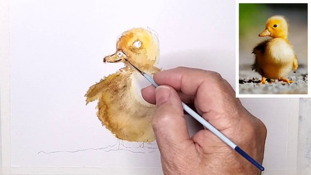 214a Duckling смотреть онлайн