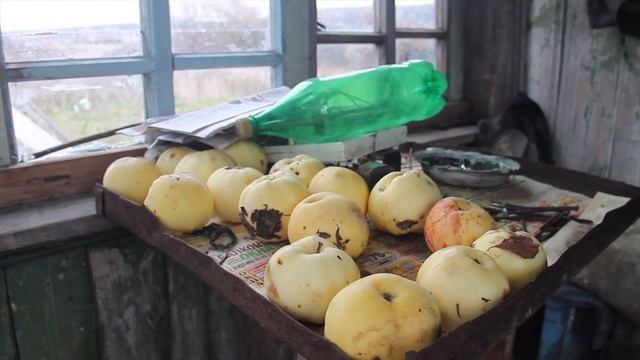 Двое из Мамырово. Последние жители ульяновского села ловят связь на бане и спасают кур от лис смотреть онлайн