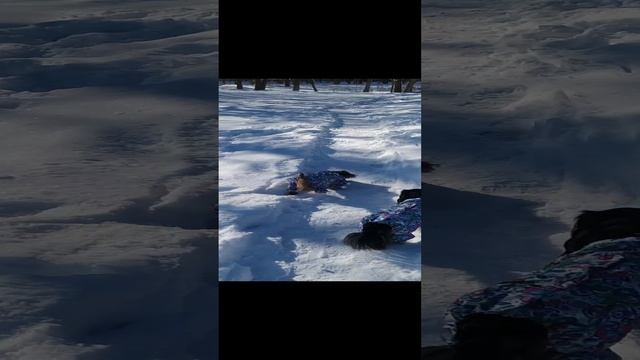 Как я их называю