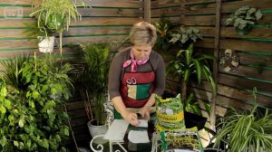 Торфяные таблетки своими руками .