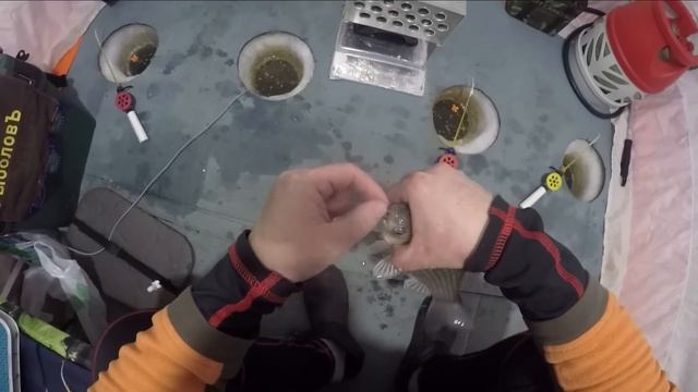 Ведро с болтами или ведро с карасями. Озеро Уелги в глухозимье. Ловля карася зимой. Icefishing.