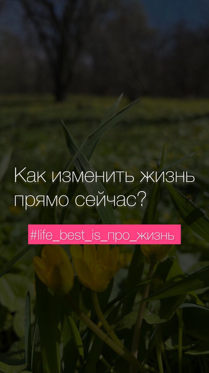 Дневник Ивентера | Ирина Стратий