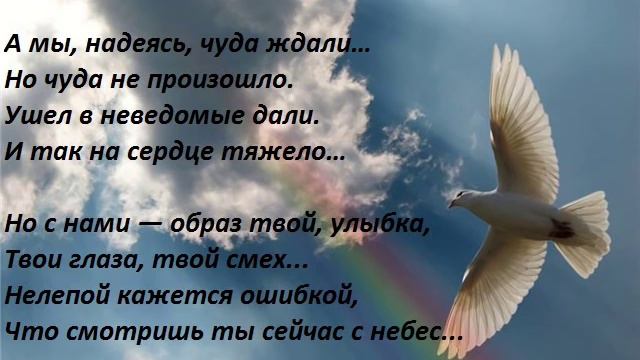 Память о нашем однокласснике - Саше Синякове смотреть онлайн