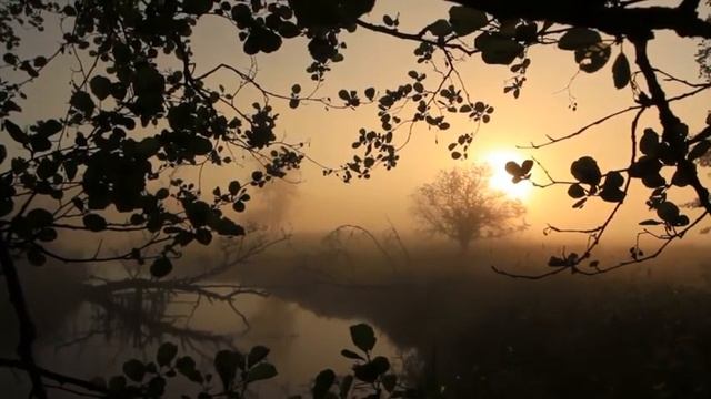 Музыка для души! Потрясающе красивая эмоциональная мелодия, которая унесет вас вдаль! смотреть онлайн