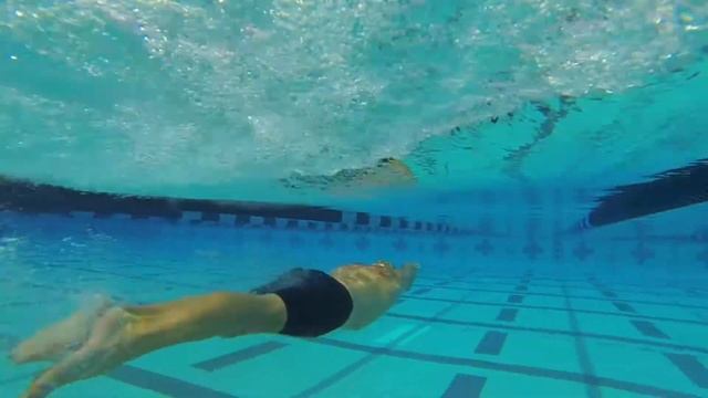 Product Spotlight - Arena Python Mirrored Goggles смотреть онлайн