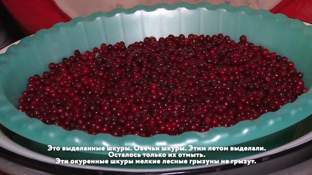Караван дружбы. Сойоты смотреть онлайн