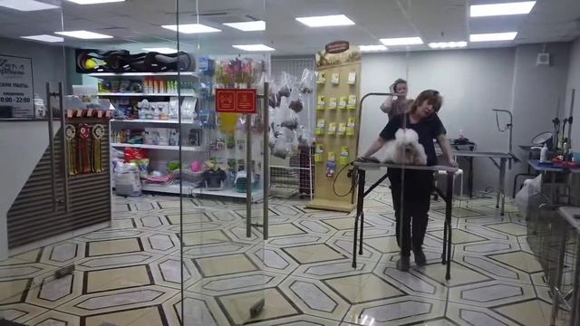 ОПОЗДАЛИ НА САМОЛЁТ | ДЕНЬ В КРАСНОДАРЕ И СОЧИ смотреть онлайн