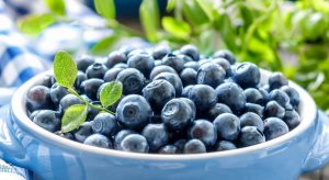 Как вырастить чернику.