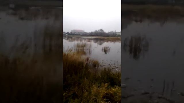 Озера в городе Мозырь смотреть онлайн