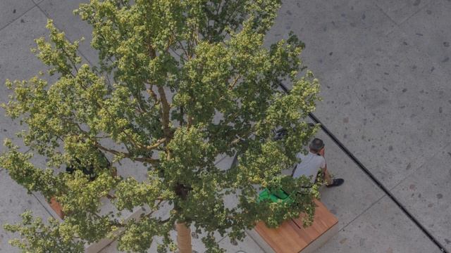 Площадь пяти углов, Варшава, Польша смотреть онлайн