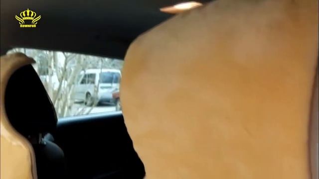 Меховые накидки на сиденья автомобиля обзор! смотреть онлайн