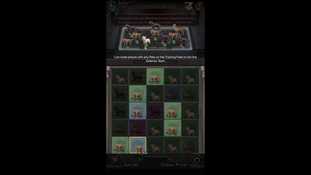 Tutorial Pet Show, Imperial Coliseum - How to Become Imperial Animal Trainer || Game of Sultan (GoS смотреть онлайн