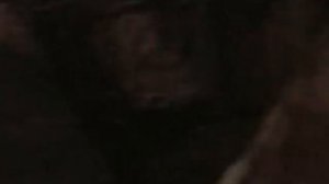 как мы работаем на шахте