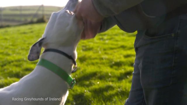 99% of us are Good Honest People | #BehindTheTrack Part 6 смотреть онлайн