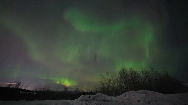 Охота на Северное сияние под Мурманском, 30 января 2022 смотреть онлайн