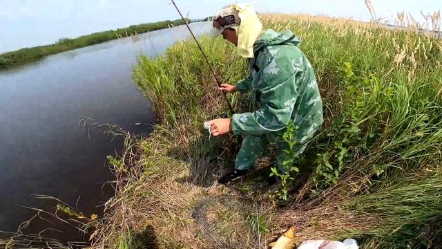 Рыбалка на Амуре ч.1 (Сазан). Июль 2021 смотреть онлайн