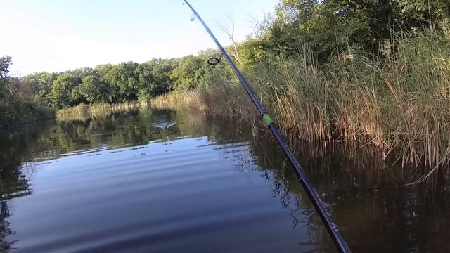 Щука на Salmo Slider 10см