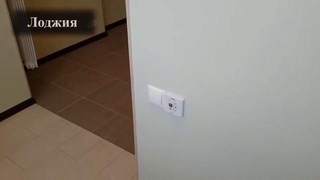 MSM   отзыв 28   работы