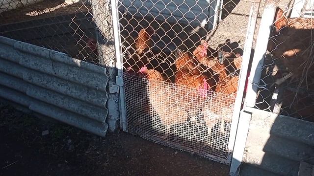 Как хорошо... когда ничего не болит! смотреть онлайн