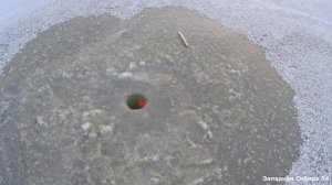 Хапуги работают! Рыбалка на хапуги. Рыбалка удалась.