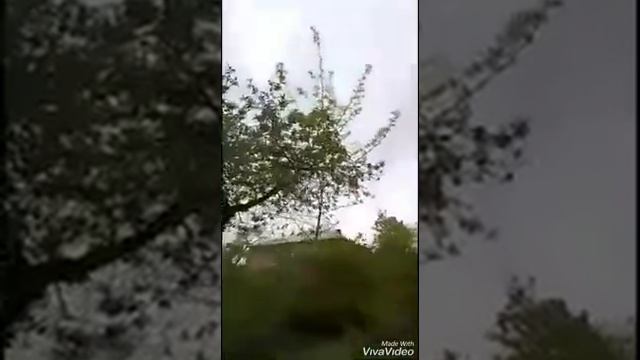 Axtala 2019 смотреть онлайн