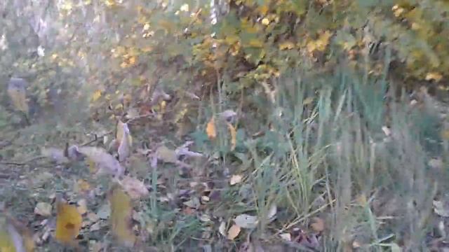 Как поднимают рельсы. Мощный кран 25 тонн. смотреть онлайн