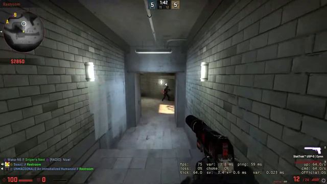 Silver 4 CSGO Then Some Dead By Daylight