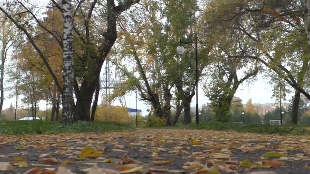 шалунья осень