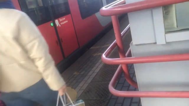 Электропоезда «ЭС2Г (Ласточка)» на станции «Ботанический сад» (МЦК) // 26 марта 2022 года смотреть онлайн
