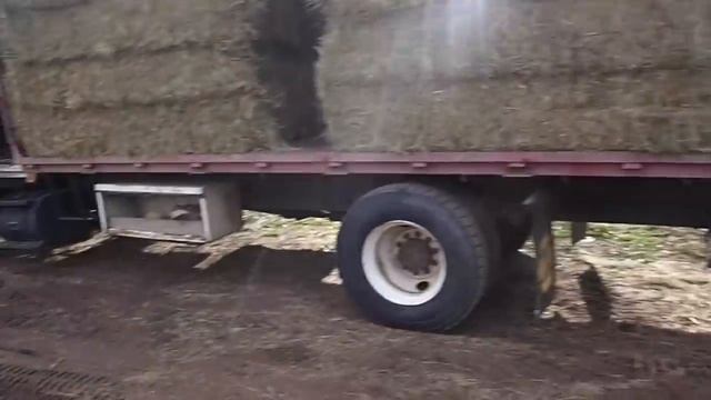 500 Bales Moved In A Day смотреть онлайн