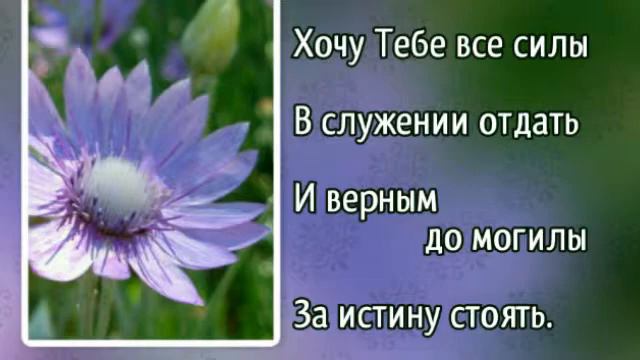 Гимны надежды 252 Лишь за Тобой, Спаситель (-) смотреть онлайн