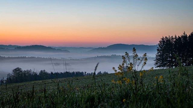 Johann Sebastian Bach: Jesu, Joy Of Man's Desiring (BWV 147, Adapted For Piano)