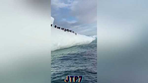 Compilation JTP7 THE BEST COUB Amazing Fails | Лучшие приколы 2024 🔞🤣 невозможно представить 🤭